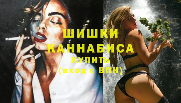 амф Арсеньев