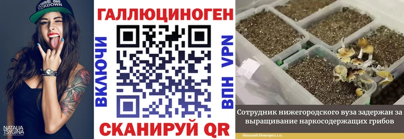 где продают   маркетплейс формула  Псилоцибиновые грибы мухоморы  Лермонтов 